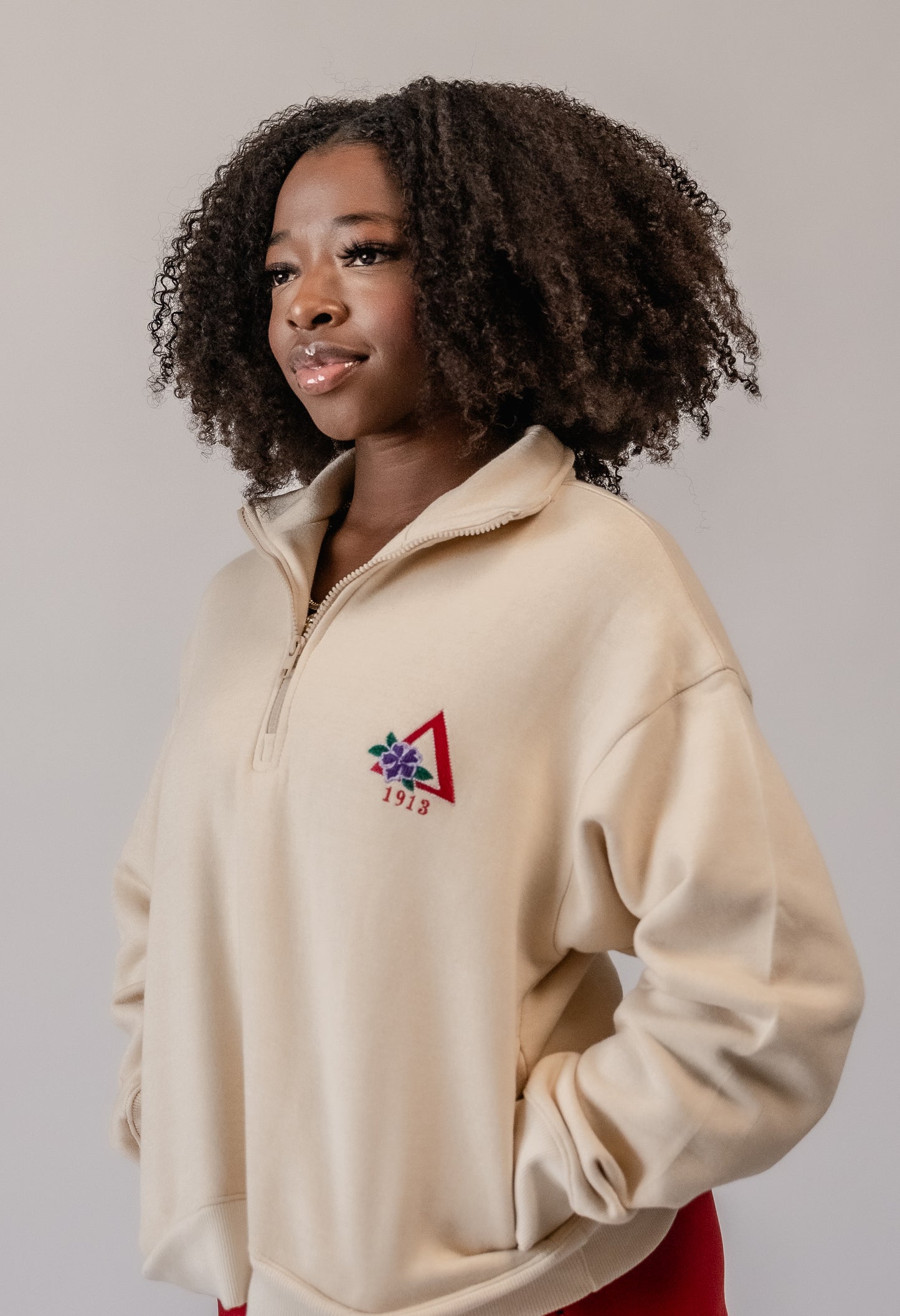 Delta Sigma Theta Quarter Zip Sweatshirt