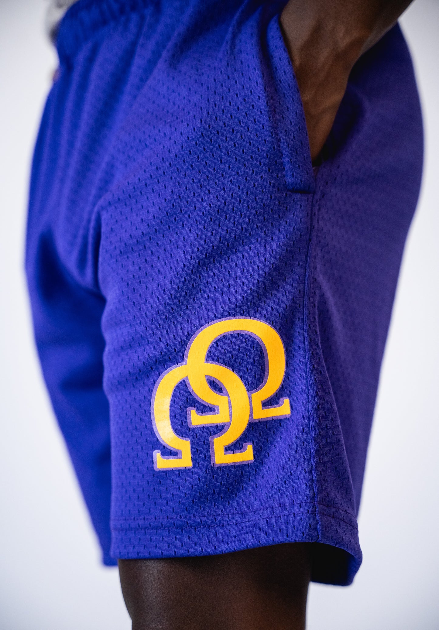 Omega Psi Phi Mesh Purple Shorts